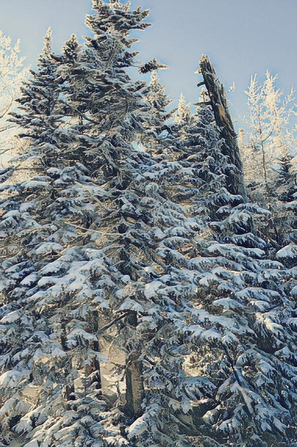 Snowy Tree Digital Art