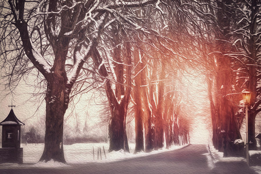 Winter Photograph - Snowy Tree Lined Road Mondsee Austria by Carol Japp