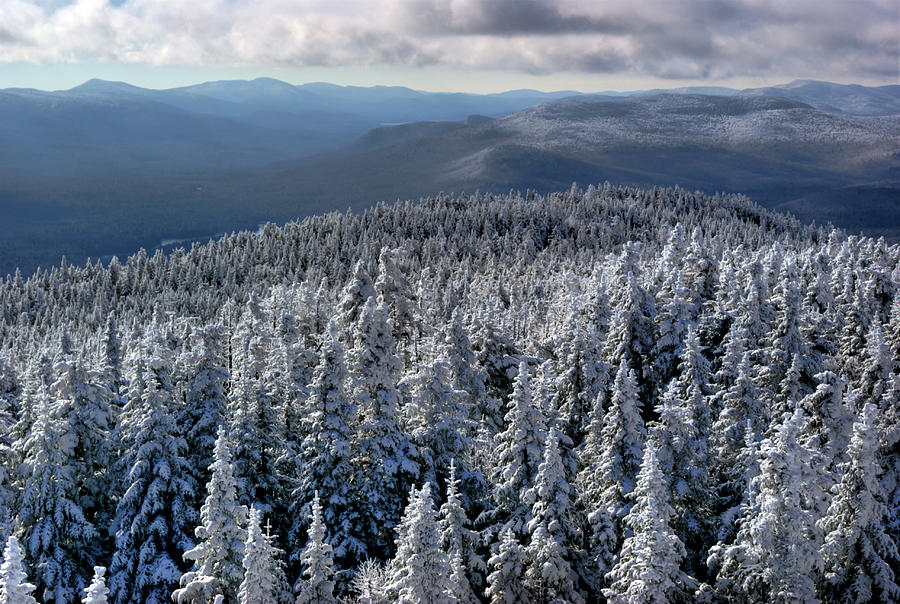 Snowy Trees Atop Blue Mountain by Brett Maurer