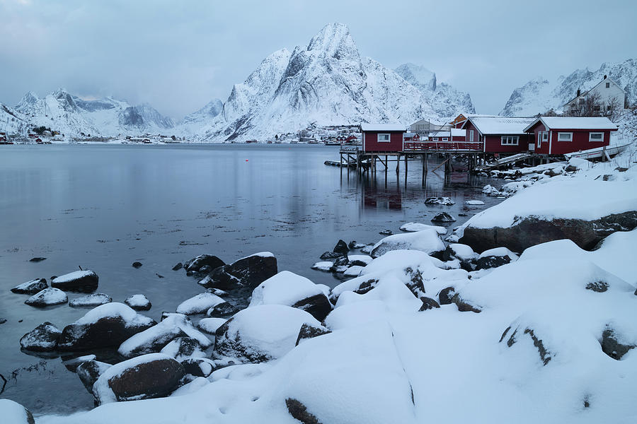 Snowy View From Reine Harbor, Lofoten Islands, Norway Photograph By ...