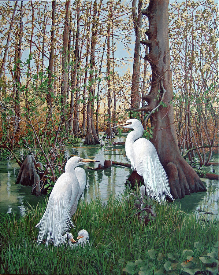 Bird Painting - Snowy White Egret Nesting by Carol J Rupp