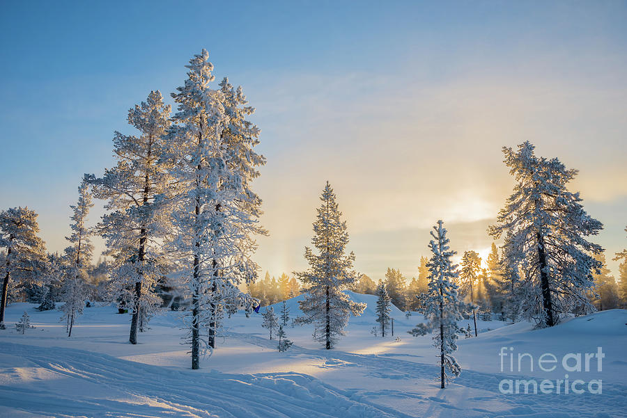 Snowy winter landscape Photograph by Delphimages Photo Creations