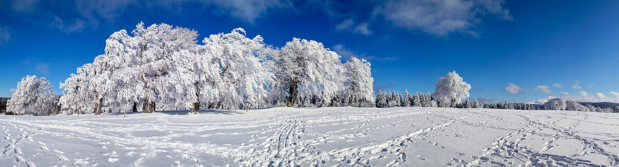 Snowy Winter Panorama Landscape With Photograph by Schmitzolaf