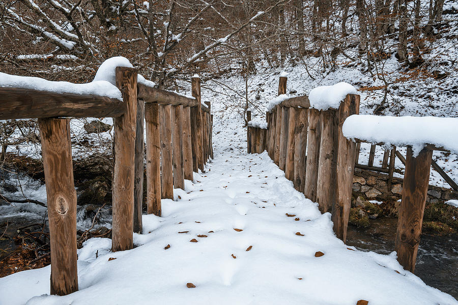 Winter Photograph - Snowy Wooden Bridge Over The River With Trees by Cavan Images