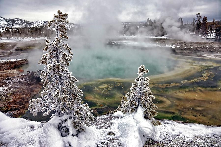 Snowy Yellowstone Photograph by Jason Maehl
