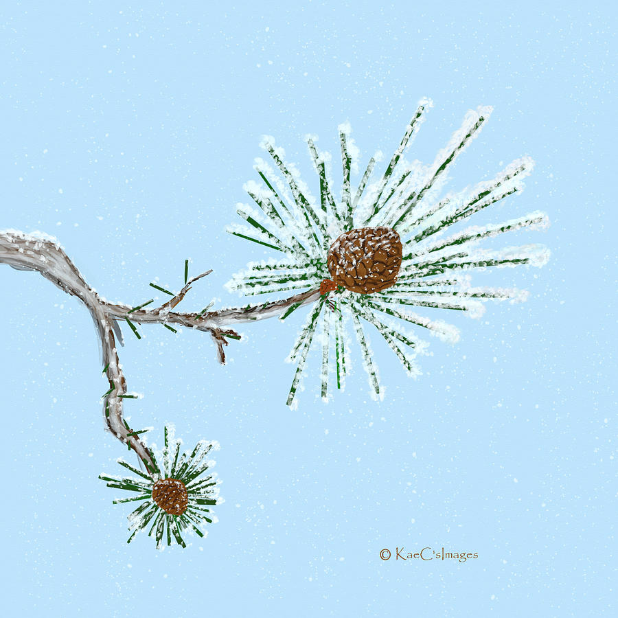 Snowy Pine Cones Isolated Digital Art by Kae Cheatham