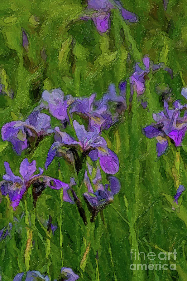 So Grow the Irises by C L Lassila So Grow the Irises by C L Lassila