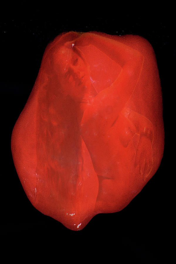 So Thats Why Habaneros Are Hot Photograph by Richard Henne