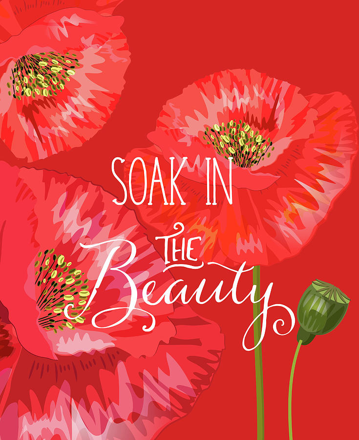 Soak in the Beauty Red Poppies Digital Art by Doreen Erhardt