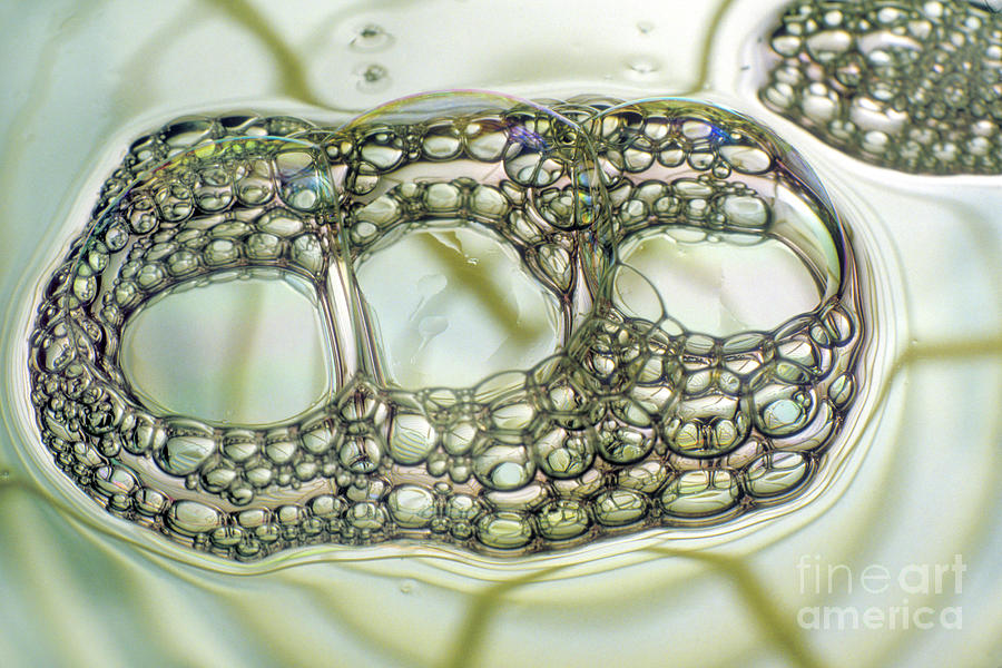 Soap Bubbles Photograph by Dr Keith Wheeler/science Photo Library