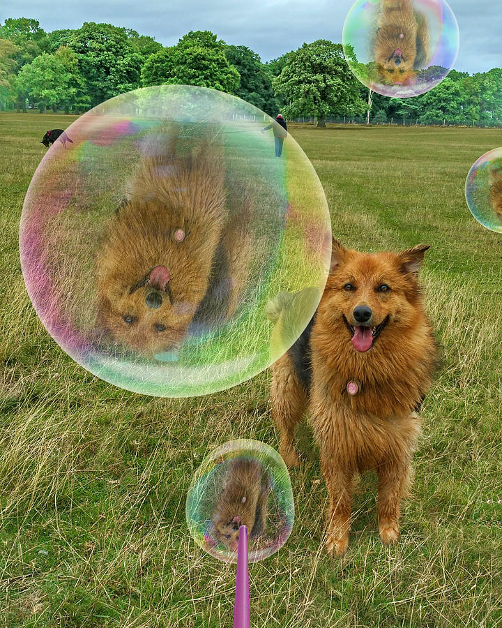 Soap Bubbles Play Digital Art