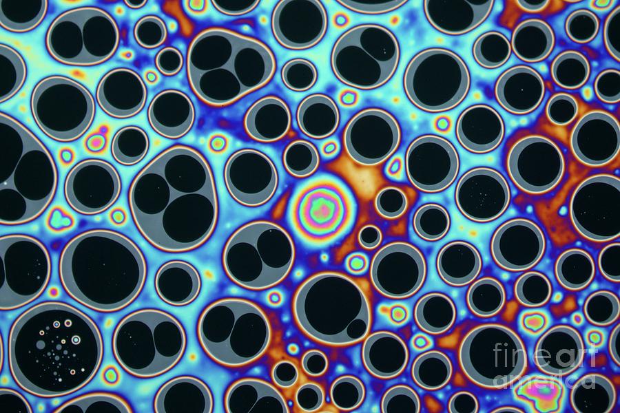 Soap Film Photograph by Karl Gaff / Science Photo Library