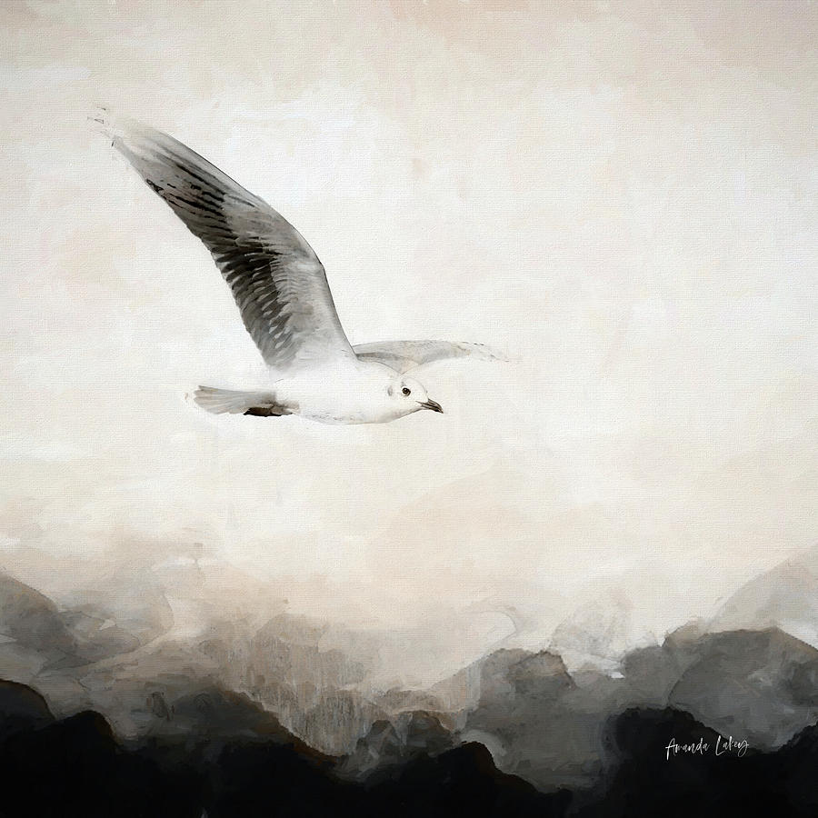 Seagull Mixed Media - Soar by Amanda Jane