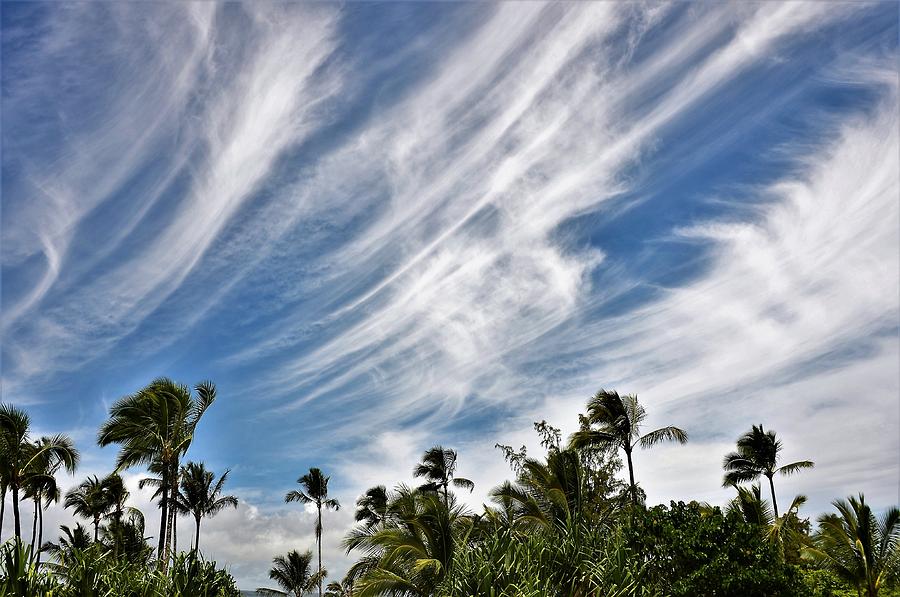 Soaring Cirrus Skies Photograph by Heidi Fickinger