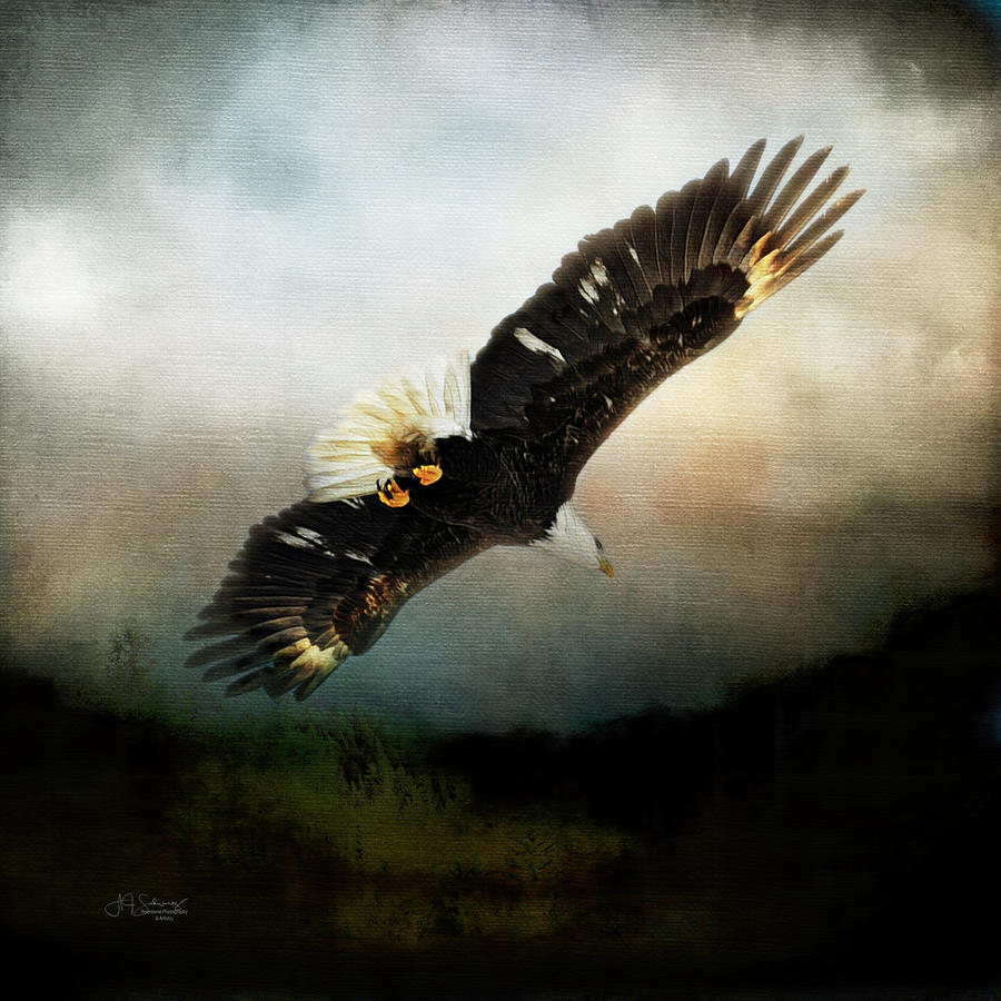 Eagle Photograph - Soaring Eagle by Allyson Schwartz
