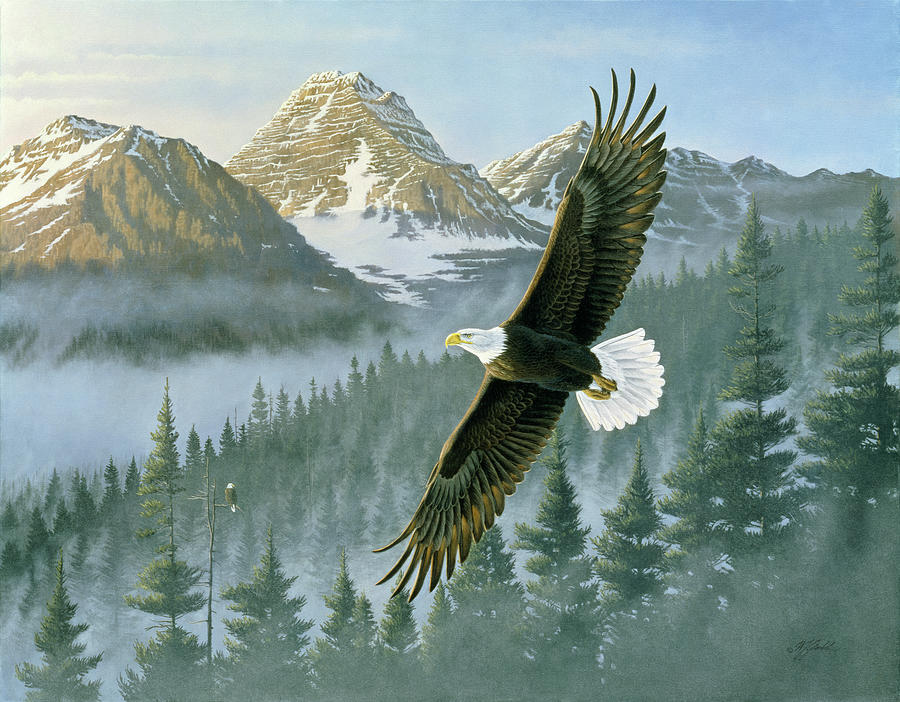 Animal Painting - Soaring Eagle by Wilhelm Goebel