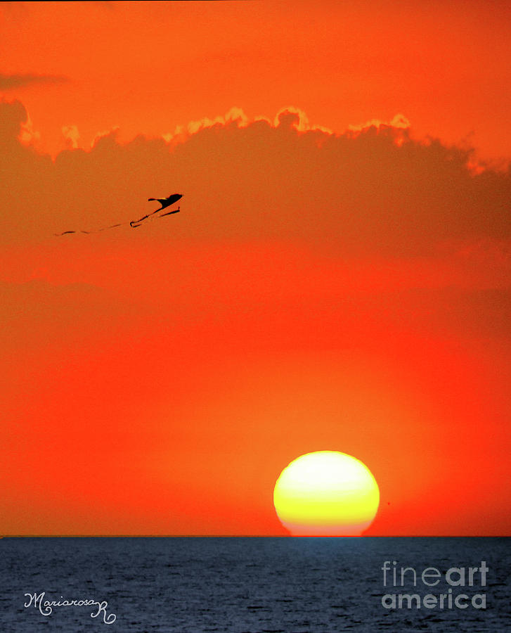 Soaring Kite at Sunset Photograph by Mariarosa Rockefeller