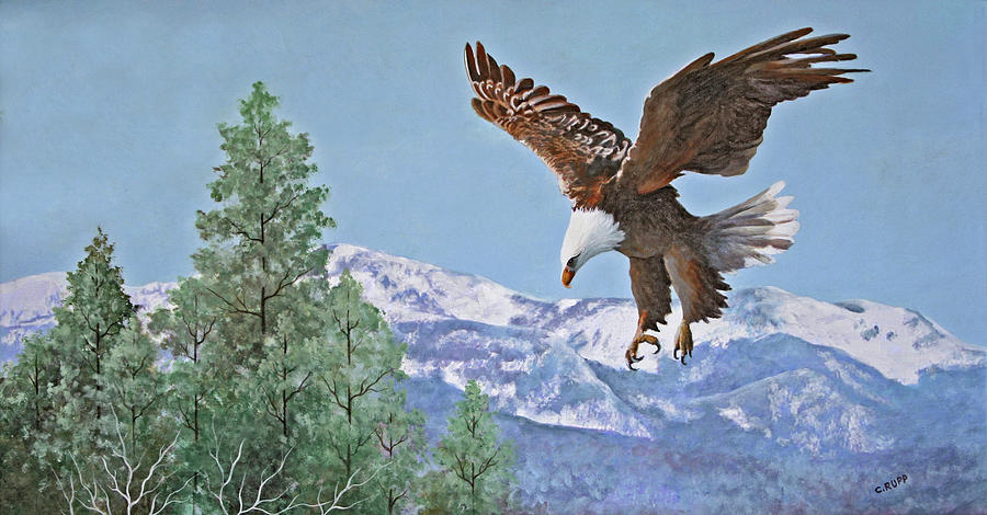 Bird Painting - Soaring Over Snowy Peaks by Carol J Rupp