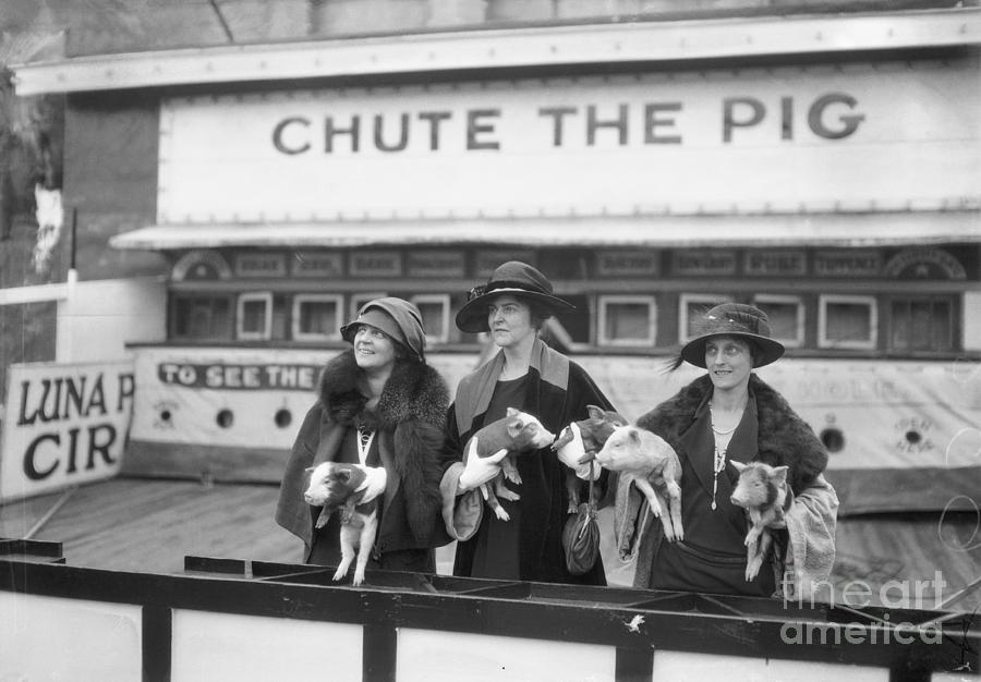 Society Women Holding Pigs At Amusement Photograph by Bettmann