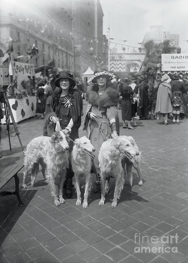 New York City Photograph - Society Women Walking Dogs by Bettmann