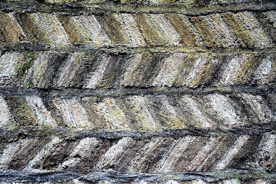 Pattern Photograph - Sod House Pattern by Norman Burnham Pattern Photograph - Sod House Pattern by Norman Burnham