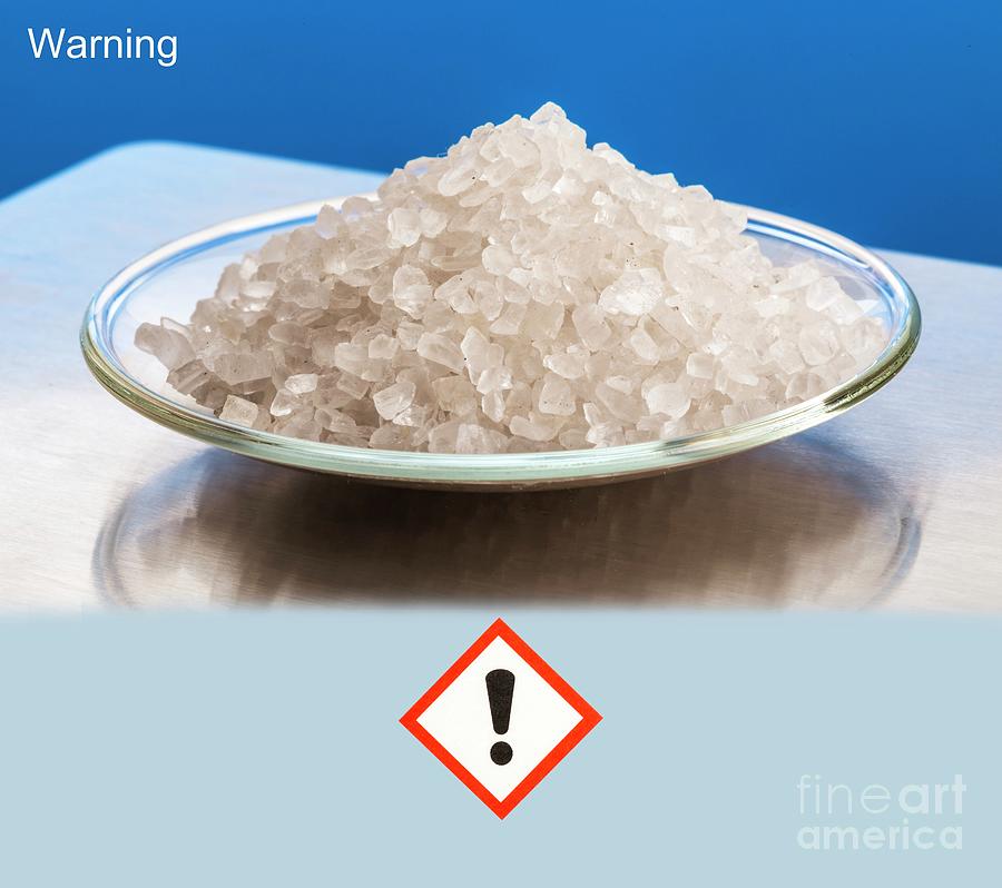 Regular And Low Sodium Salt Photograph by Science Photo Library - Pixels