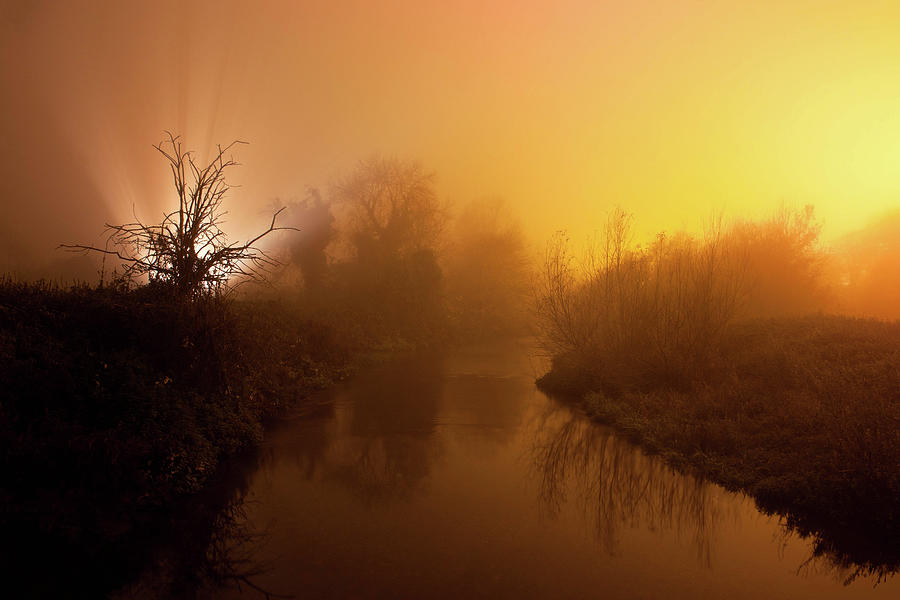 Sodium Vapour Light Pollution & Fog Photograph by H Matthew Howarth [flatworldsedge]