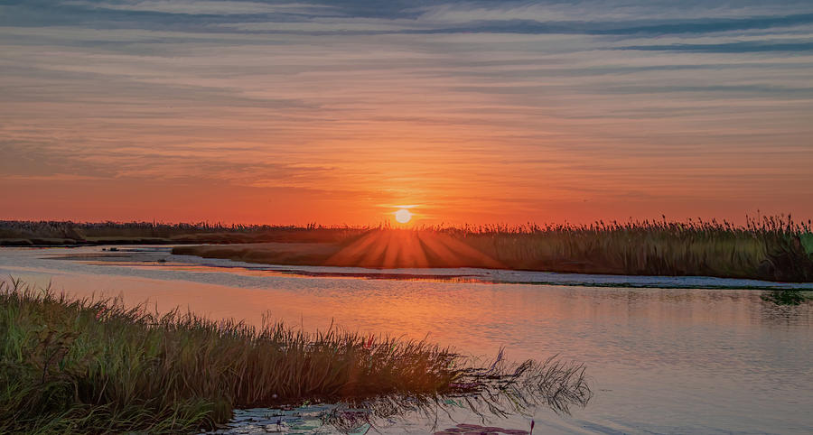 Soft and Easy Botswana Sunset Photograph by Marcy Wielfaert