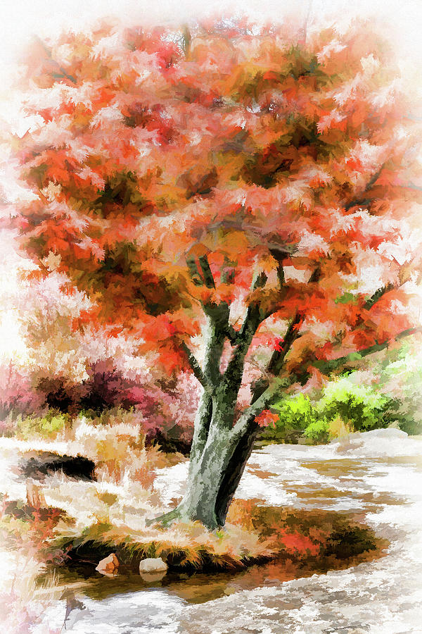 Soft Autumn Tree AP Painting by Dan Carmichael