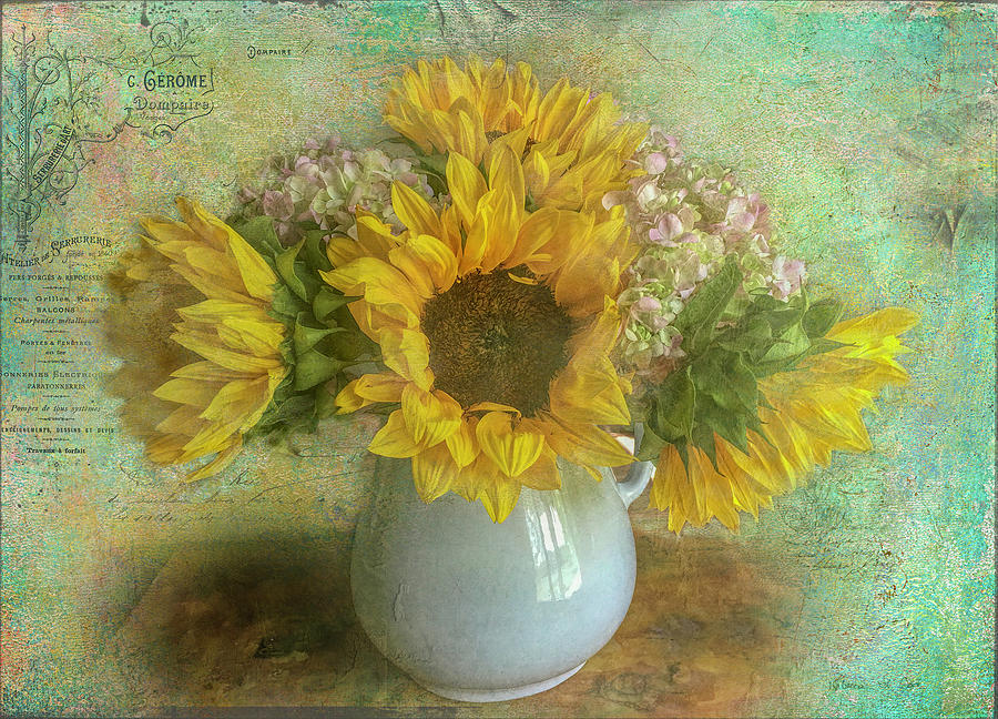 Sunflower Photograph - Soft Bouquet by Bellesouth Studio