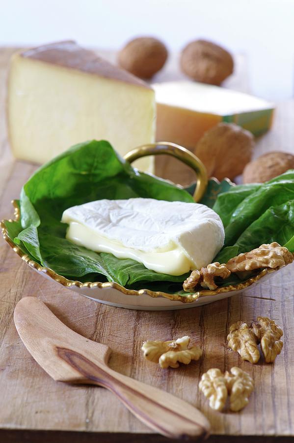 Soft Cheese, Hard Cheese And Walnuts Photograph by Braas, Nele