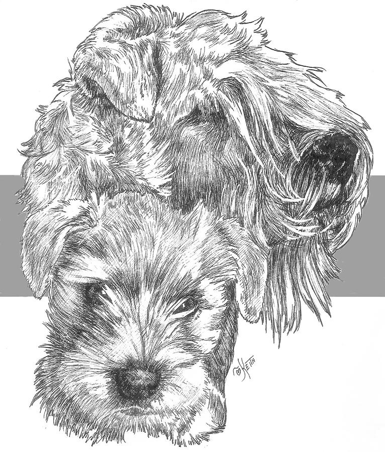 Soft Coated Wheaten Terrier and Pup Drawing by Barbara Keith