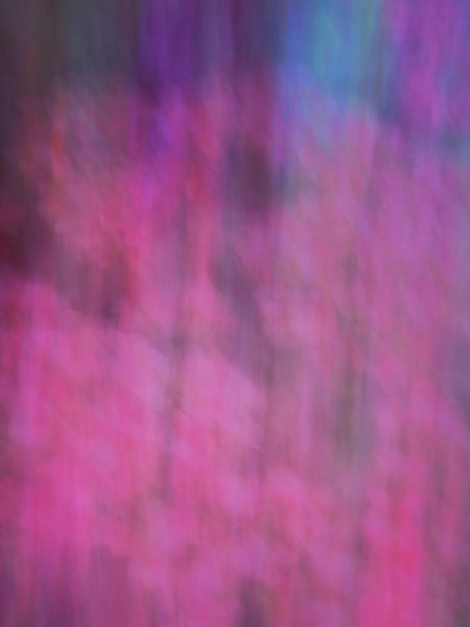 Soft flowing pastel abstract line background with pinks, blues and purple Photograph by Teri Virbickis