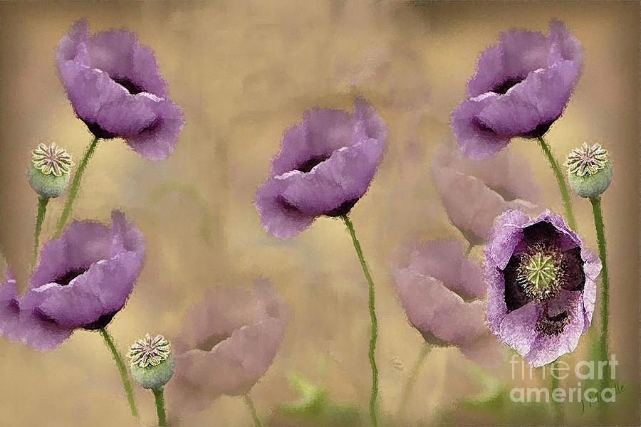Soft Lavender Poppies Digital Art by J Marielle