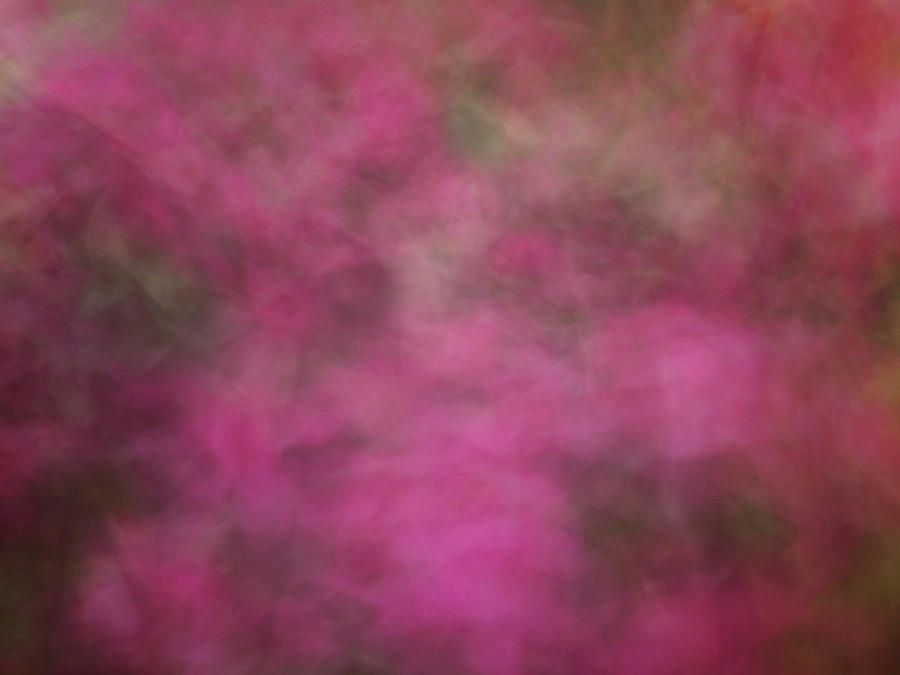 Soft pastel flower like abstract blurred design of pinks and greens Photograph by Teri Virbickis