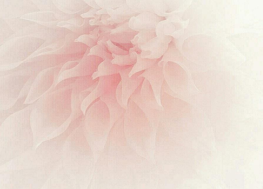 Soft Pink Dahlia Photograph by The Art Of Marilyn Ridoutt-Greene