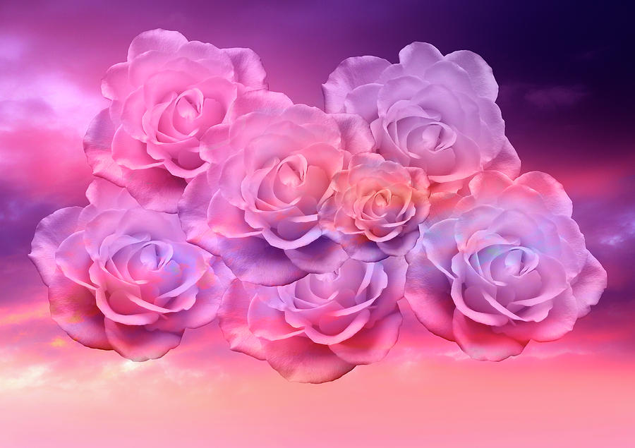 Soft Roses Art Work Mixed Media by Johanna Hurmerinta