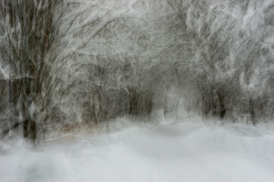 Soft Snow Photograph by Arne stlund