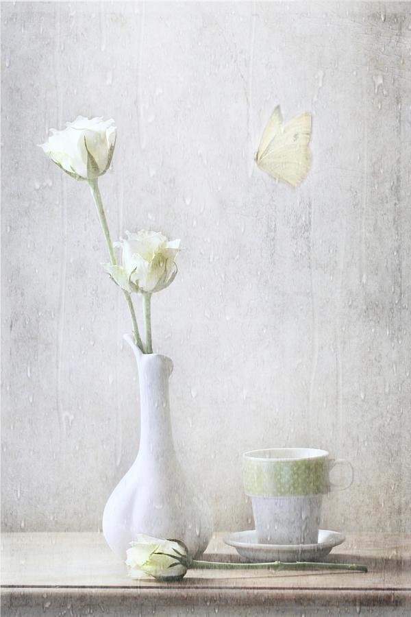 Still Life Photograph - Soft White Petals by Delphine Devos