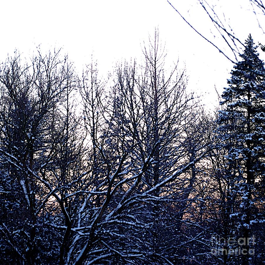 Soft Winter Sunrise by Frank J Casella Soft Winter Sunrise by Frank J Casella