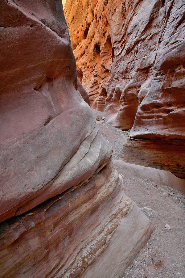 Softly Lit Canyon Walls in Little Wild Horse Slot Photograph by Ray Mathis