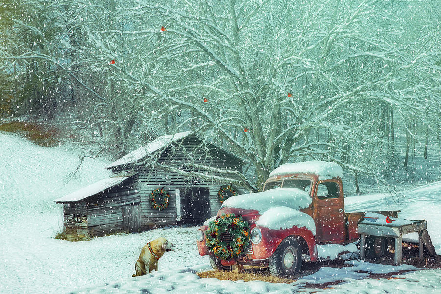 Softly Snowing on A Nostalgic Christmas Eve Photograph by Debra and Dave Vanderlaan