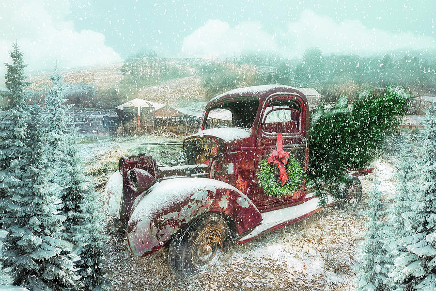 Softly Snowing Winter Treasures at Christmastime Photograph by Debra and Dave Vanderlaan