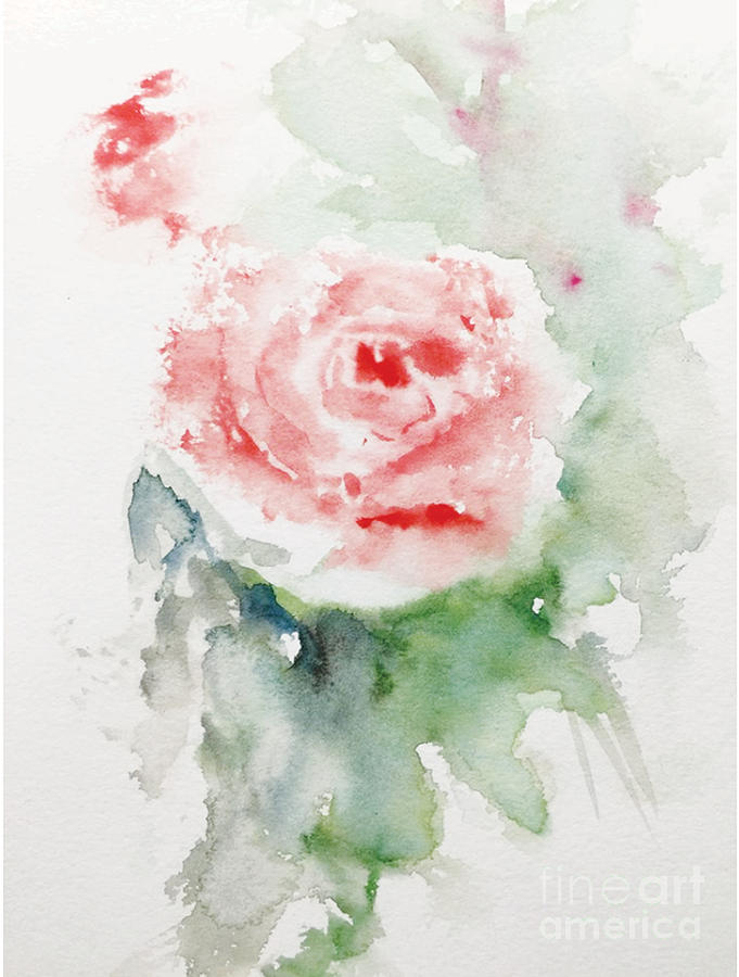 Softly Painting by Trilby Cole