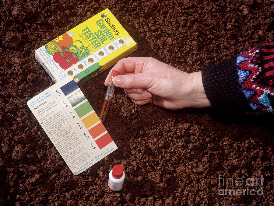 Nature Photograph - Soil Acidity Testing by Geoff Kidd/science Photo Library
