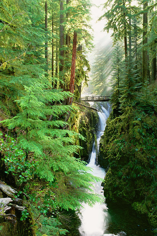 Sol Duc Falls Are In The Forest Of Photograph by Mint Images - David Schultz