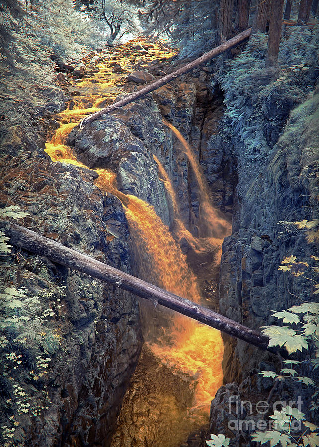 Sol Duc Falls IR Photograph by Martin Konopacki