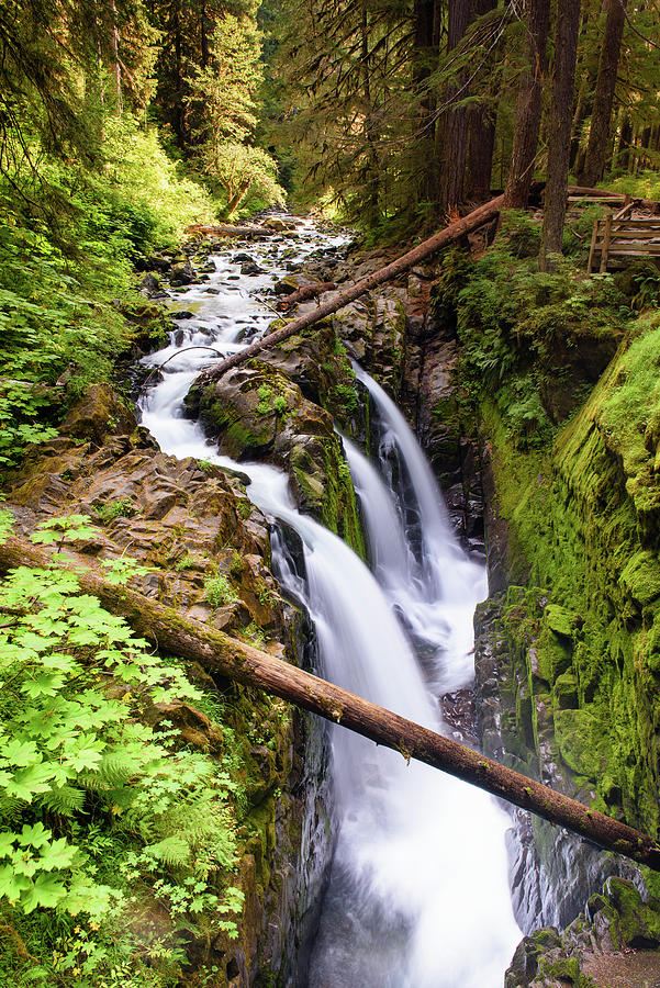 Sol Duc Falls Photograph by Michael Blanchette Photography | Pixels