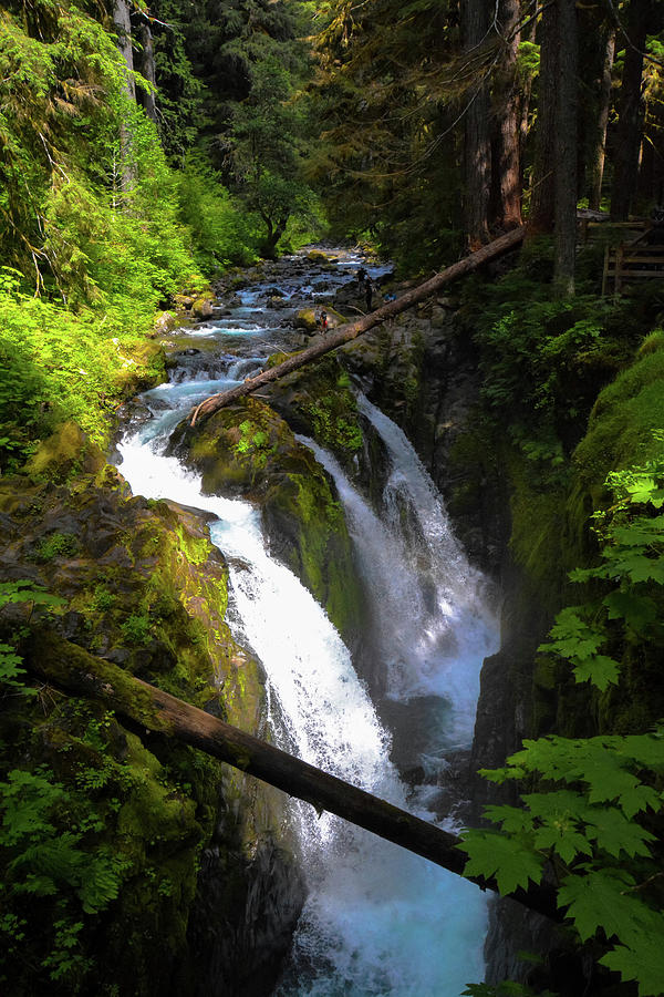 Sol Duc Falls Rainbow Photograph by Brian Goodbar - Fine Art America