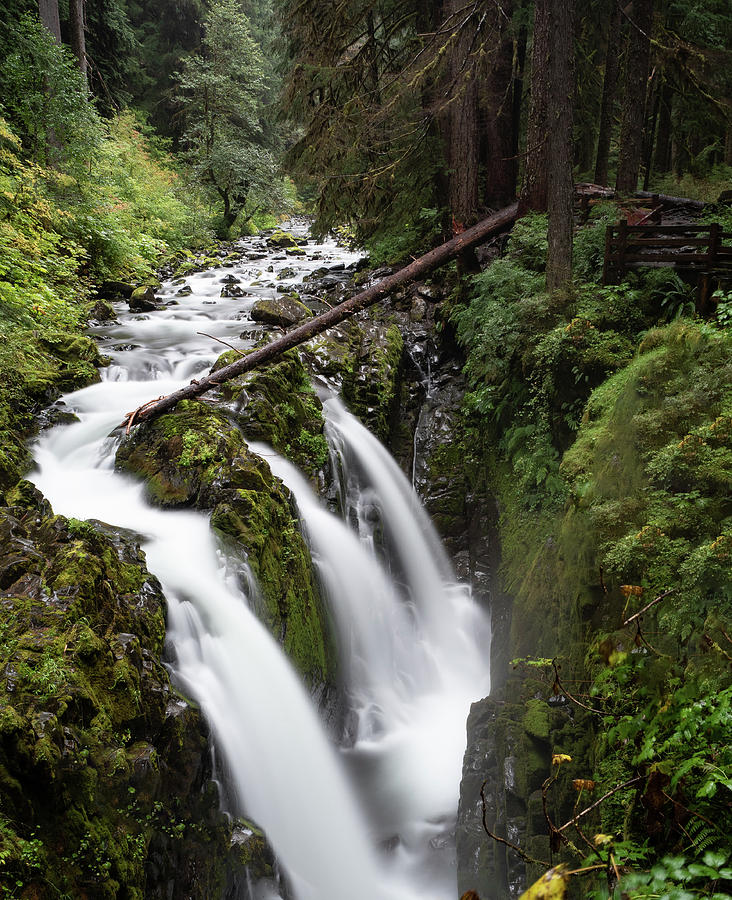 Sol Duc Falls Photograph by Richard Hoatland - Fine Art America